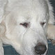 Fb_profile_picture.small