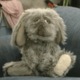 Tumblr_me2p9szbti1rm209to1_400.gif.rb.small