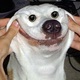 Smile!.small