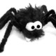 Spinne_mini_1944.small