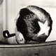 Duchamp%20avatar.small