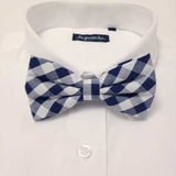Bt_check_blue_small.medium