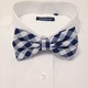 Bt_check_blue_small.small