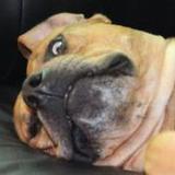 Fb_profile_picture.medium