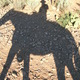 Dscn1903.small
