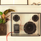 Transparent_speaker_front_with_plant_cropped_for_kickstarter.small