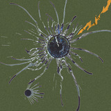 Eye_facebook_thinner_crack-1.medium