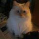 Fb_profile_picture.small
