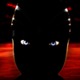 Ninja_m_copy.small