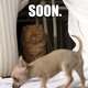 Soon_(1).small