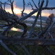 Fb_profile_picture.small
