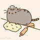 Bakercat.small