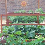 Stb_production_garden_-_august__2011.medium