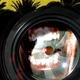 Tribesmen%20lens.small