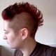 Mohawk.small