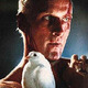 Blade_runner_-_roy_dove_(200w).small