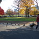 Dsc_0864.small