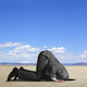 Book_cover_head_in_the_sand.small