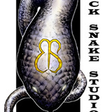 Bss_copy.medium