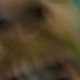 Fb_profile_picture.small