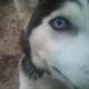 Fb_profile_picture.small