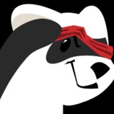 Ferret%203.medium