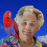 Joe.medium