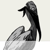Ragin_pelican.medium