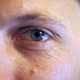 Auge_s.small