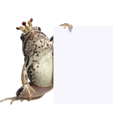 Istock_000013965767small.medium