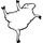 Dancing-sheep.thumb
