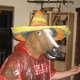 Fb_profile_picture.small