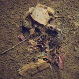 Andrewdrozpalermo06.medium