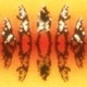 Avatar.small