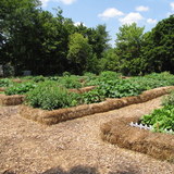 Parkview%20garden.medium