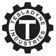 Tesladynelogo.small