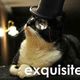 Tumblr_lpxof6ojqo1qcf9wr.small