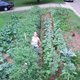 Kate%20in%20garden.small