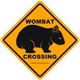Wombat-crossing.small