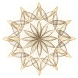Flc_logo.medium