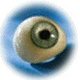 Fb_profile_picture.small