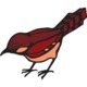 Meridae.small
