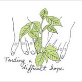 Tendingadifficulthope.medium