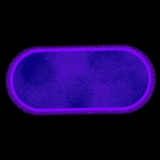 12.medium