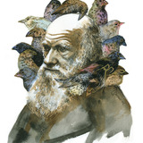 Darwinbarnumai.medium