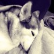 20110513_myka_edit-03.small