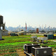 Farm.small