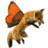 Foxflylogobigger.medium