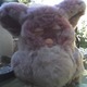09-27-08_furbie.small