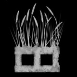 Cf_avatar.medium